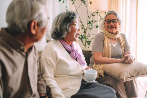 A group of older people sitting and talking.